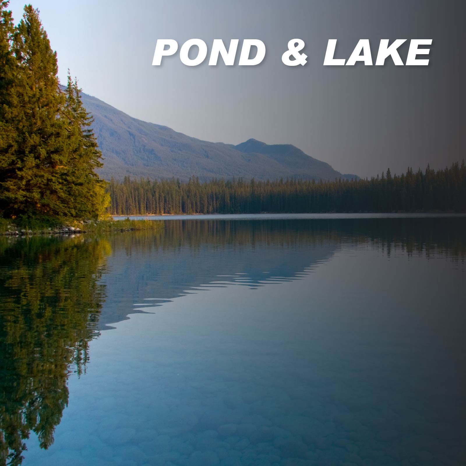 Pond & Lake Cleaners